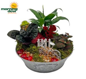 Valentine's Day Gardens 8 in