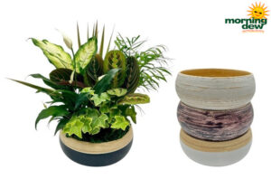 Dish Garden Spun Bamboo 9 in