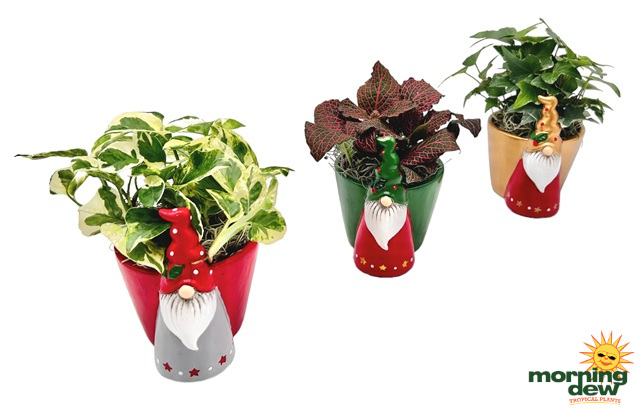 Christmas Ceramic Gnomes 3 in