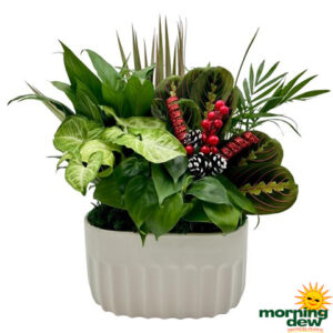 Dish Garden Ceramic Holiday 10 in