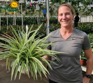 HB Spider Reverse Varigated 8 in