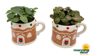 Christmas Gingerbread House Mugs 4 in